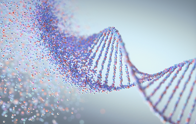 ¿Qué es el 98% de nuestro ADN?
